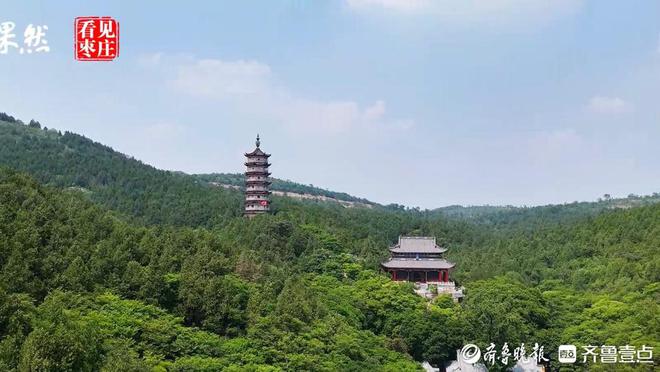 榴红似火！体育赛事释放枣庄澎湃动力