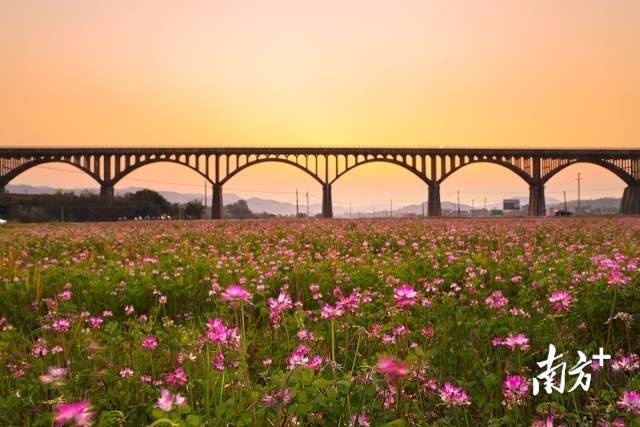 来云浮过暖冬   巳巳如意欢喜年请到云浮过大年！(图3)