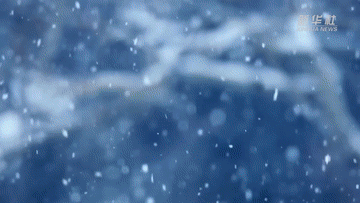 纪录片｜冰雪耀中国(图12)