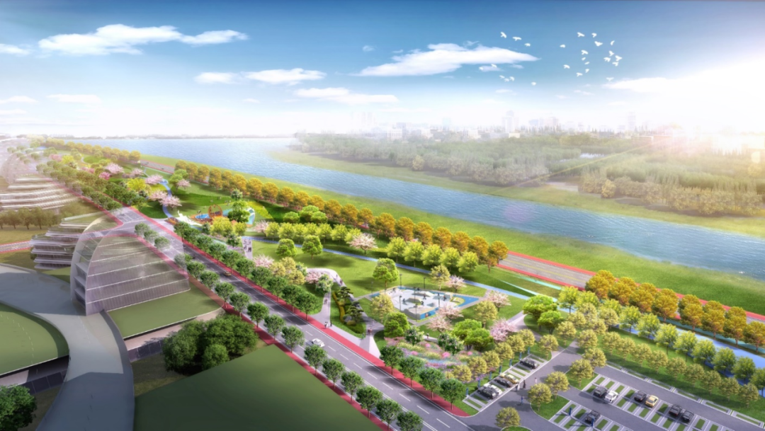 效果图出炉！大泽湖即将新建一个体育公园！(图4)
