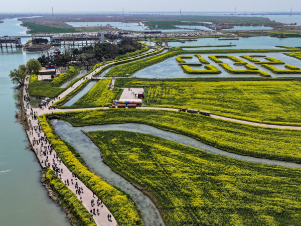扬州高邮：以水为媒 以节会友 持续打造“湖上花海”文旅品牌(图2)