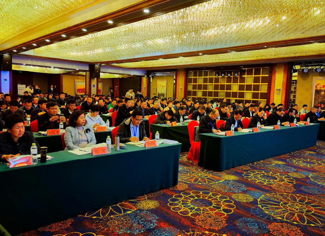 超过9万场！山东省确定今年群体赛事活动目标(图2)