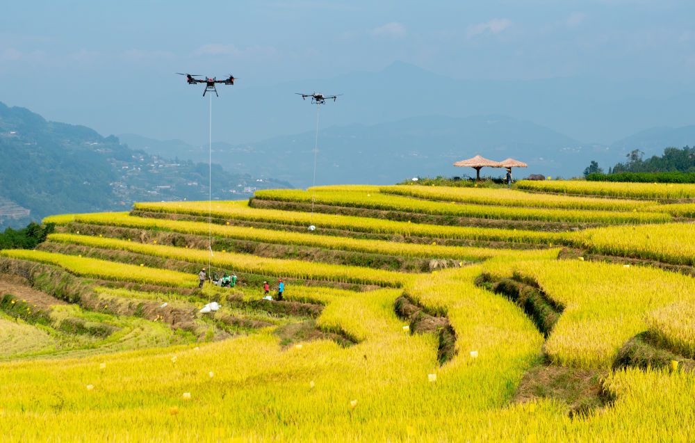 新华鲜报·“十四五”亮点年收入约18万亿元！乡村产业绘新貌(图1)