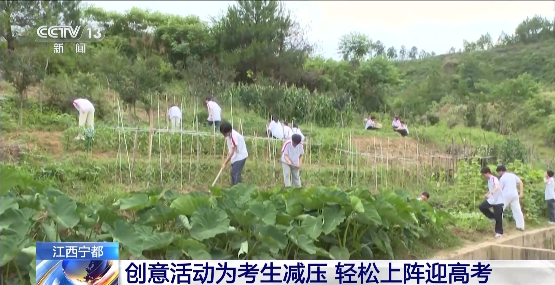 趣味运动会、解忧杂货铺 各地创意活动让考生轻松迎接高考(图1)
