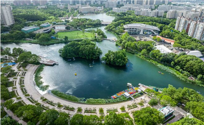 全国表彰！杨浦区5家单位、6人上榜！(图11)