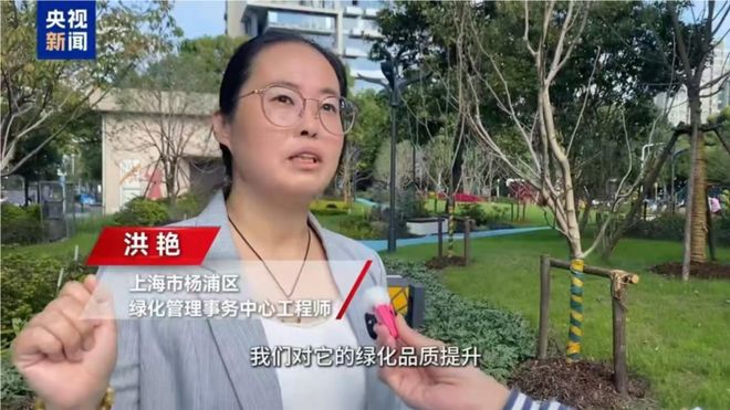 全国表彰！杨浦区5家单位、6人上榜！(图12)